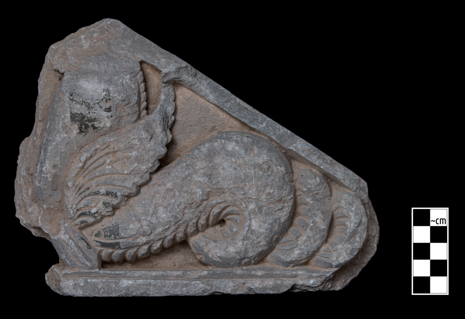 The DiGA Project—Digitization of Gandhāran Artefacts: An Interview with Jessie Pons and Cristiano Moscatelli (Part 1)