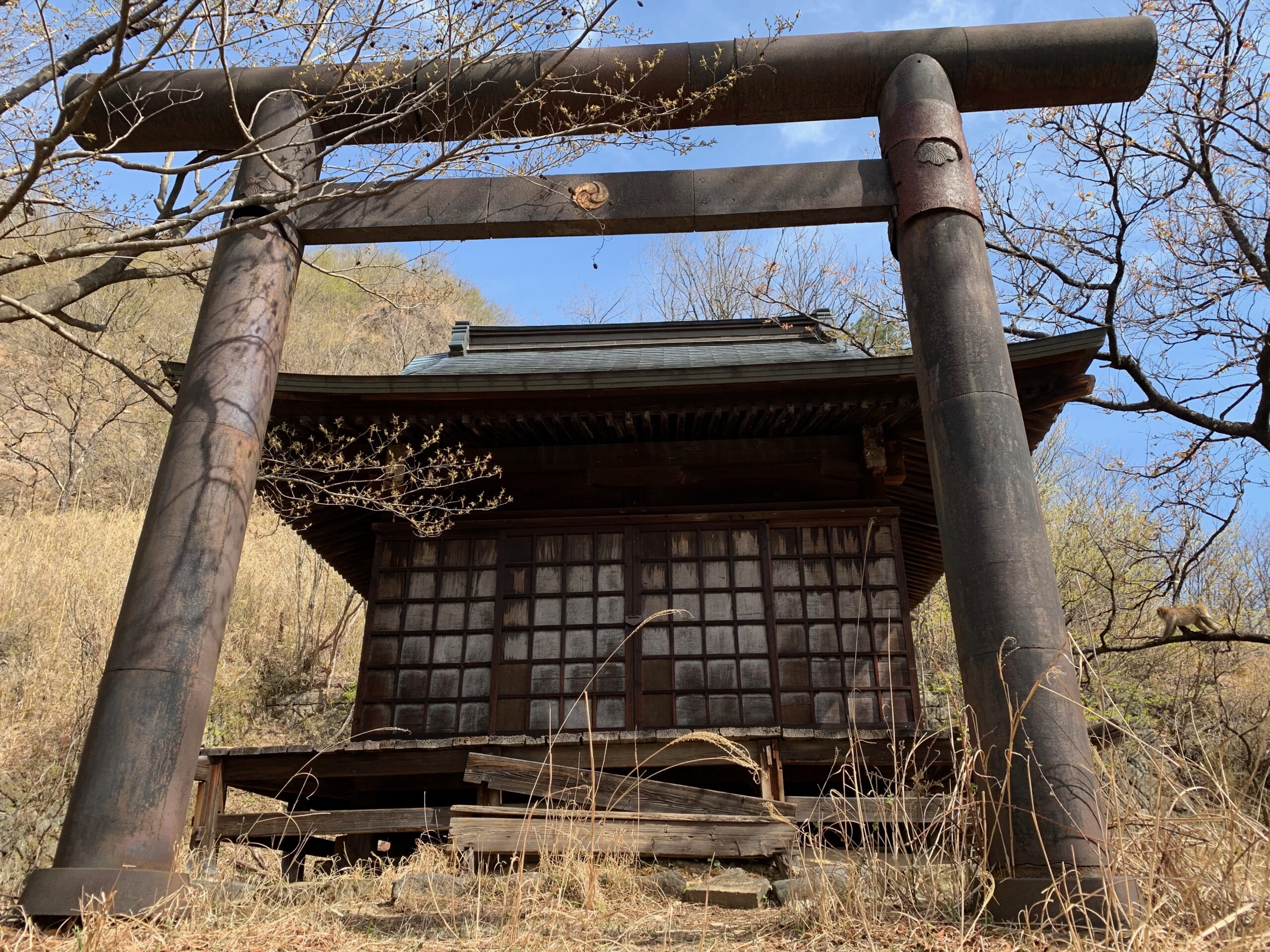 Online Teaching Resources on Shinto